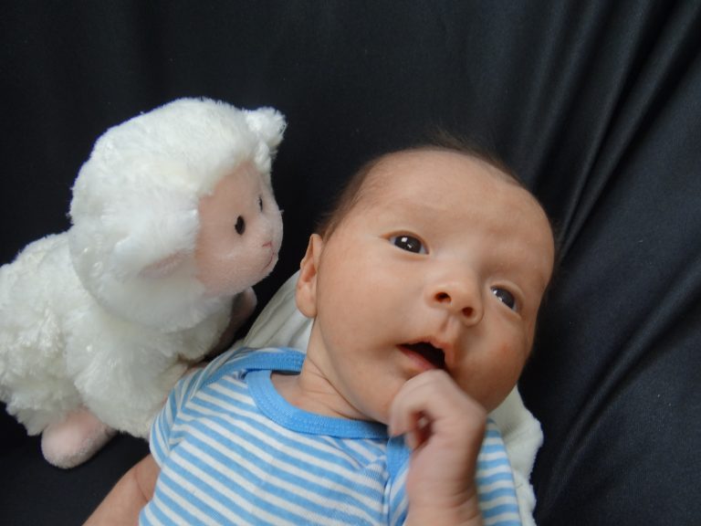 TLC Pregnancy Services Free Pregnancy Testing Elgin IL TLC