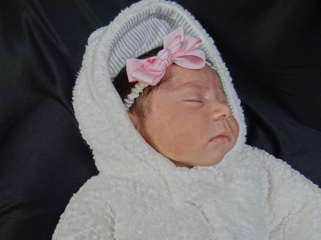 TLC Pregnancy Services Free Pregnancy Testing Elgin IL TLC