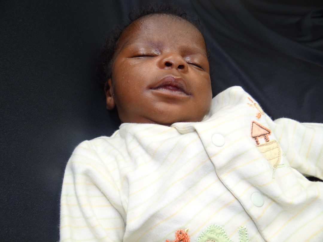 TLC Pregnancy Services Free Pregnancy Testing Elgin IL TLC