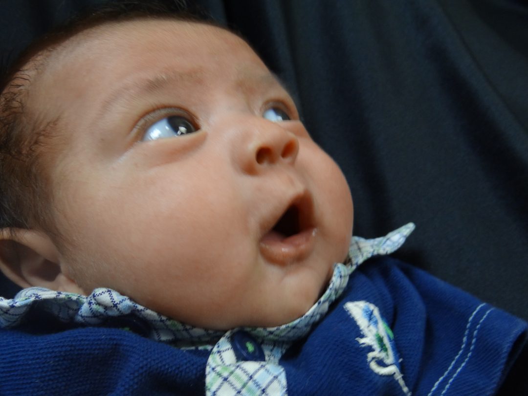 TLC Pregnancy Services Free Pregnancy Testing Elgin IL TLC